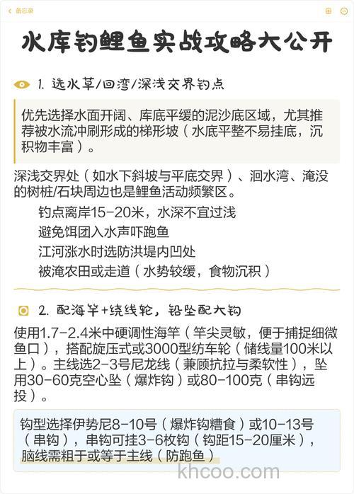9到10月份水库钓鲤鱼技巧