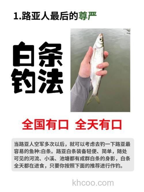 钓白条用什么饵料夜钓鲤鱼饵料钓鱼提竿动作