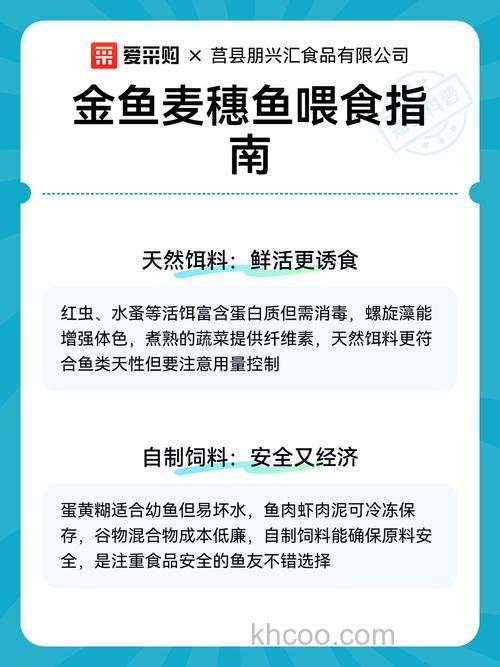 金鱼适合和麦穗一起养吗？