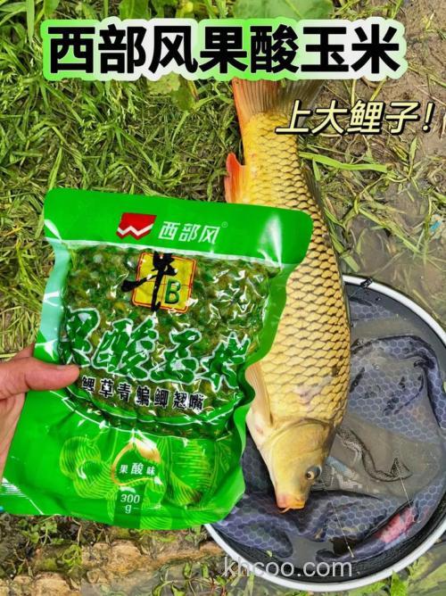 老玉米加一物清明节前后钓草鱼，专攻大草鱼