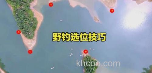 芦苇丛钓大鲫鱼时钓位和窝子的技巧