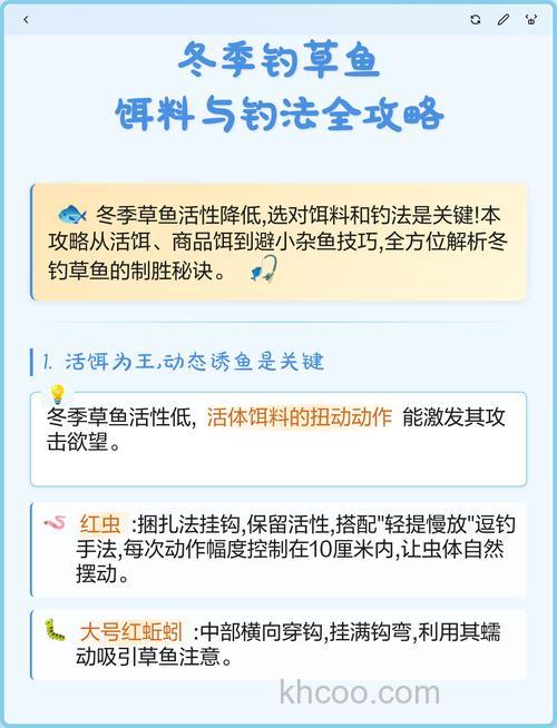 冬天钓草鱼的最佳饵料？