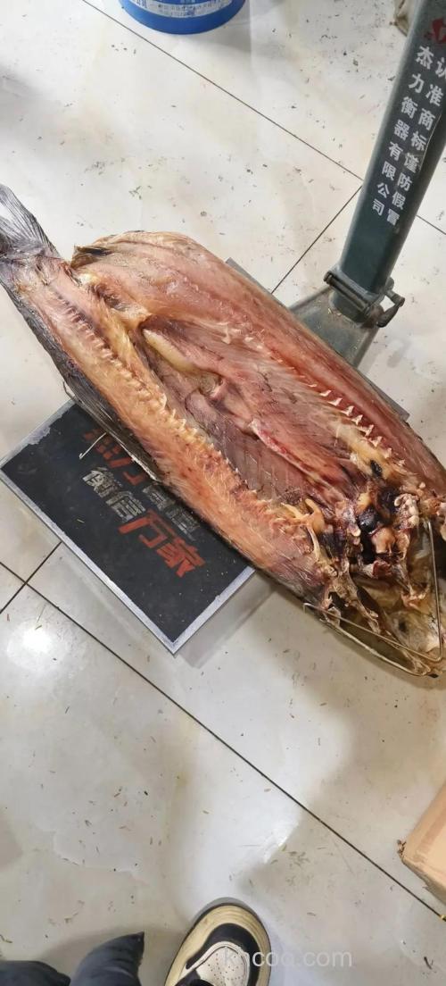 大肥肉也有用来做诱饵，大青鱼特别爱吃