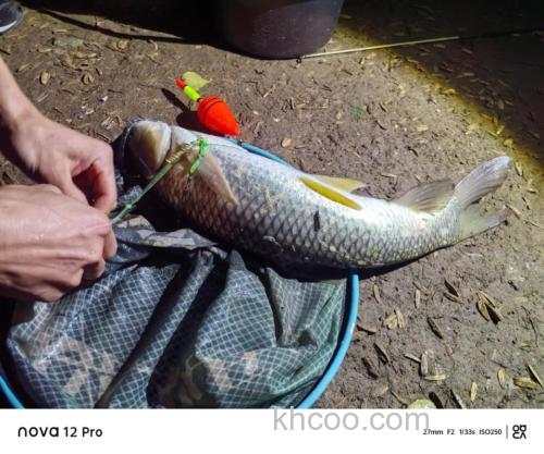 如何使用山奈钓鱼