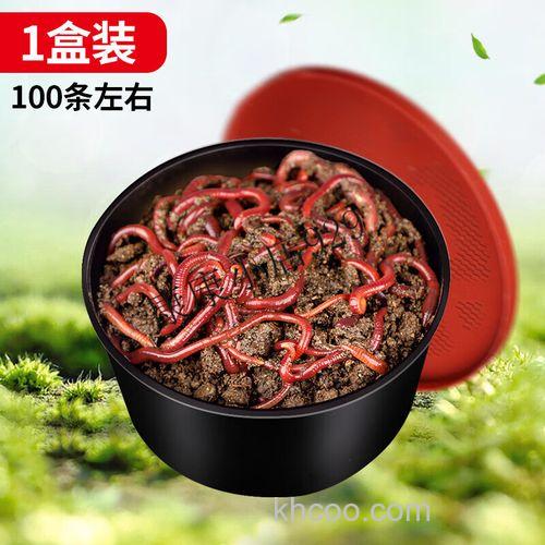 用蚯蚓做饲料钓鲤鱼可以吗？