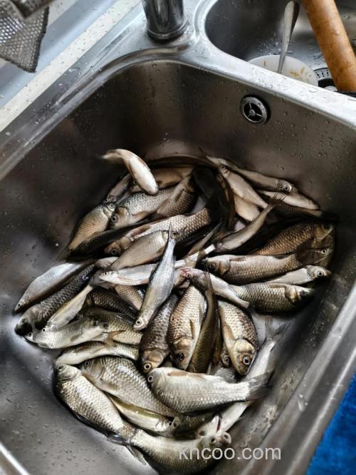 从被嘲到封神！钓鱼摄影大神亲授：3个月让你的渔获照惊艳朋友圈