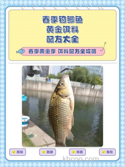 春天钓鲫鱼怎么配饵料