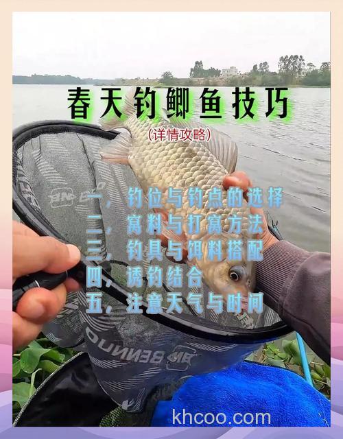 分享春季水草边钓鲫鱼的经验和技巧