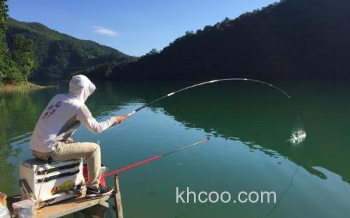 水库里怎样钓链庸？