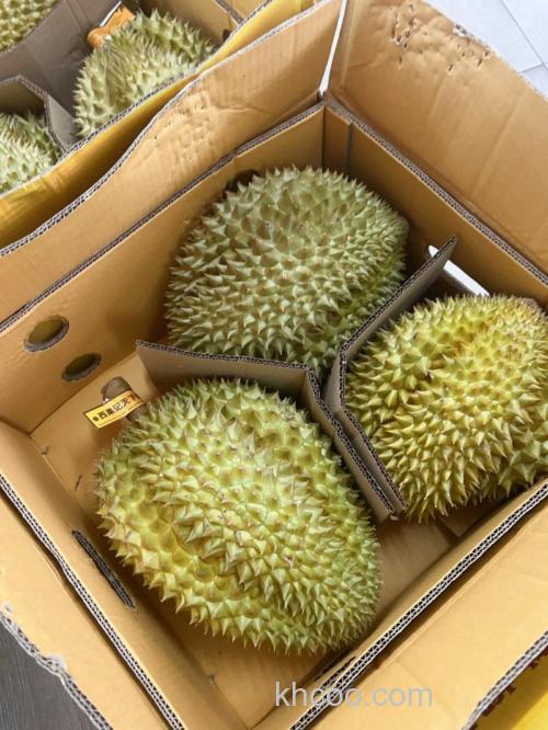 泰国的榴莲怎么才能带回国内?