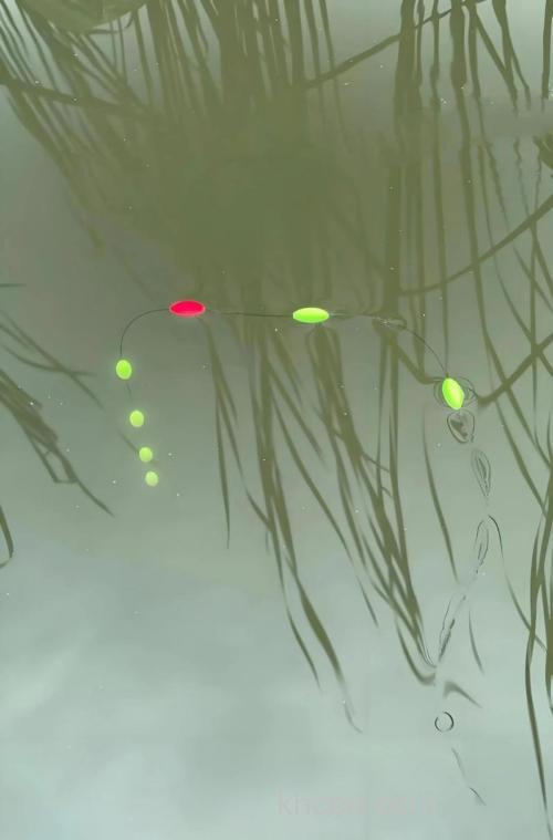 路亚钓鲫鱼七星漂方法？