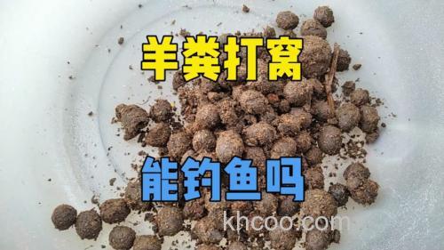 羊粪钓鱼绝密配方？