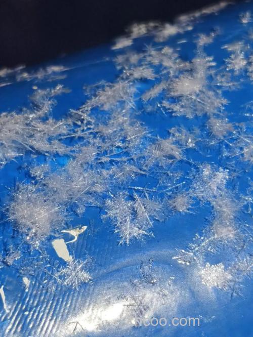 片片的雪花像什么？