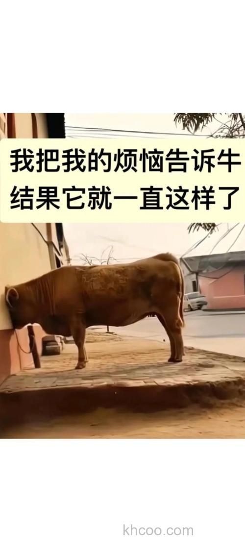 牛哥问个问题~~~
