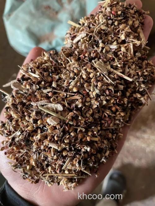 鱼为啥喂高粱壳子？