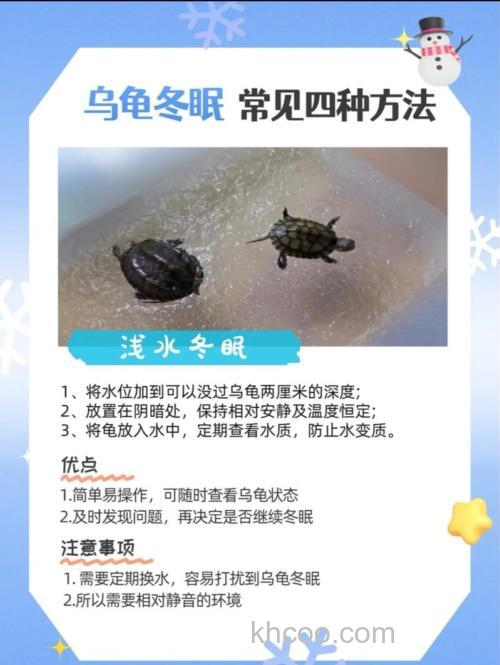 巴西龟应该怎么养？？？