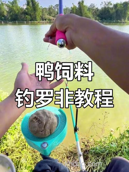 鸭饲料钓鱼最佳用法？
