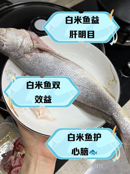 鲢鱼吃大米吗？