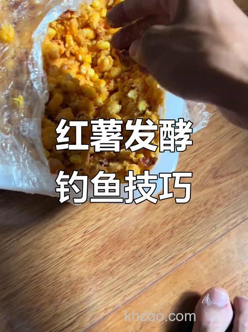 冬天拿红薯还是玉米钓鲤鱼好？