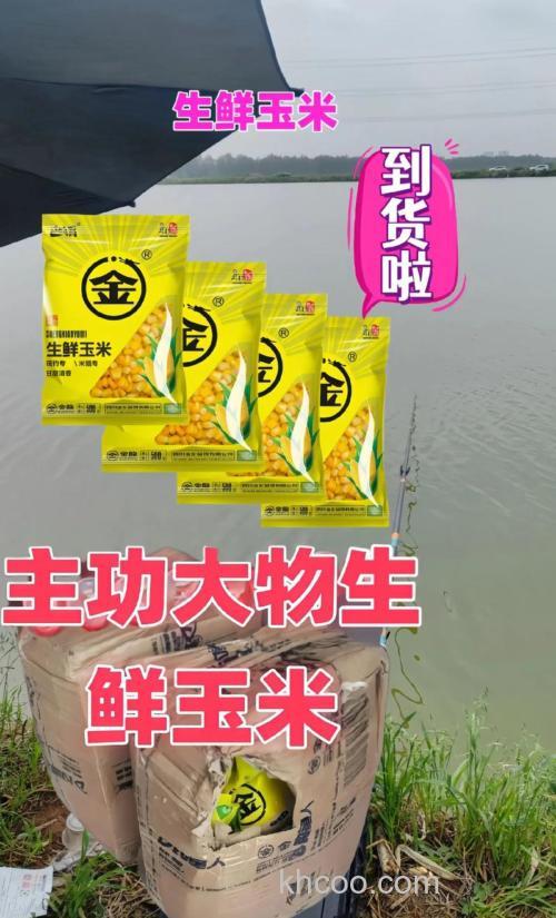 钓鱼玉米商品饵和鲜玉米哪个好？