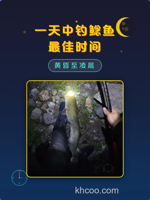 夜钓鲶鱼要用什么比较好钓？要怎样钓？在晚上几点得时候比较好钓？求高手回答…