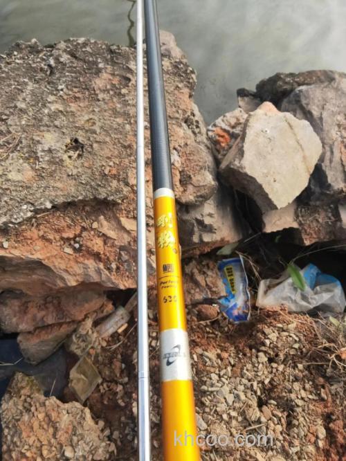 武汉天元4号鲫6号鲫怎样搭配好？