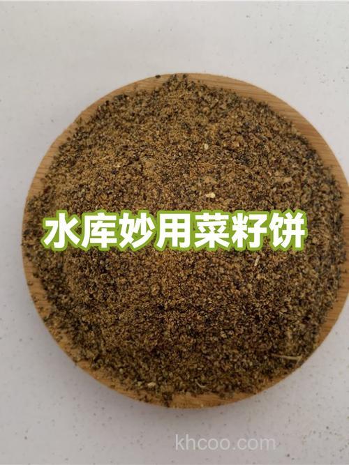 绝杀鲢鱼饵,用油菜饼怎么钓鱼