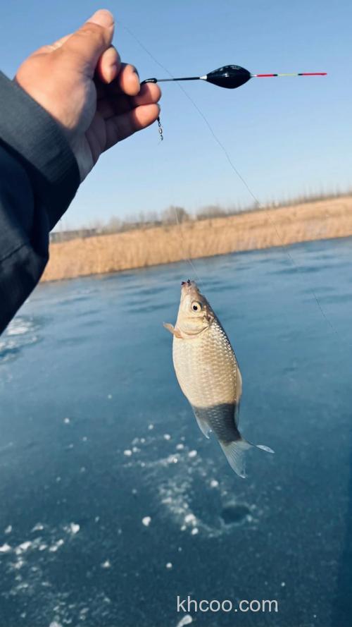 冰钓鲫鱼钓底还是钓浮