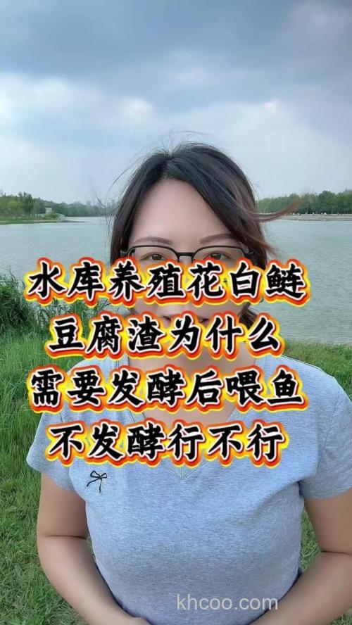 豆渣可以加入鱼粉发酵喂鱼吗？