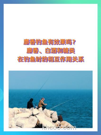 肥水滑鱼麝香钓鱼效果好吗