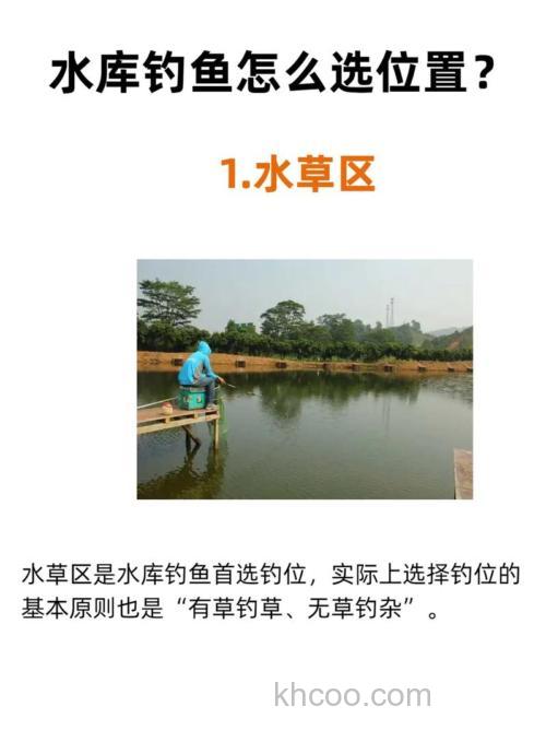 水库钓鲤鱼选什么位置用什么饵好