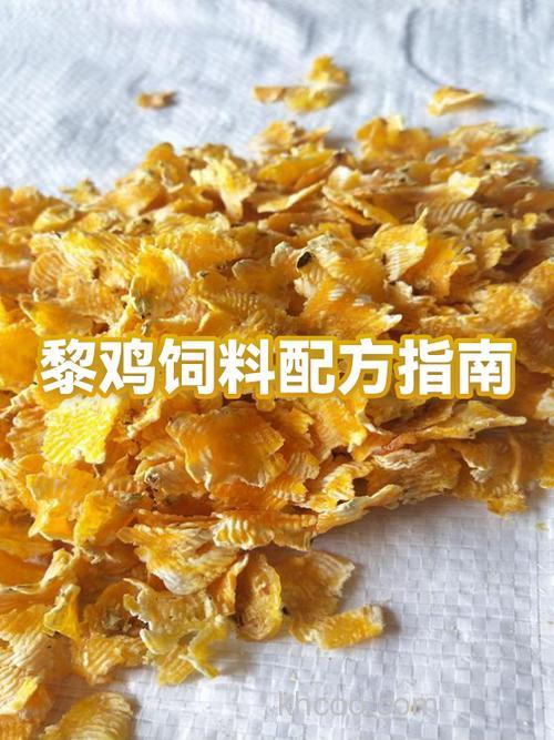 小鸡饲料打爆炸钩钓鲤鱼配方 其实非常简单