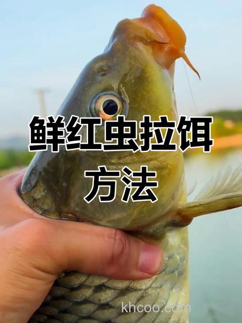 红虫鲫单开效果怎么样？