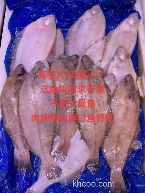 什么鱼吃高粱？