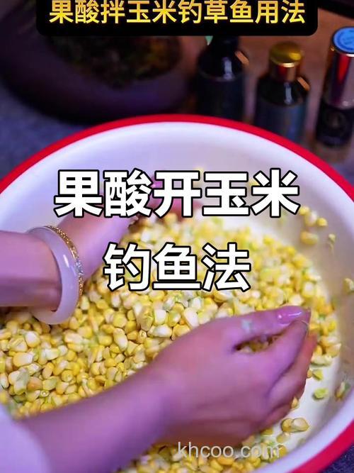 玉米加果酸钓鱼的正确使用？