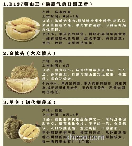 简短寓意好的榴莲昵称？