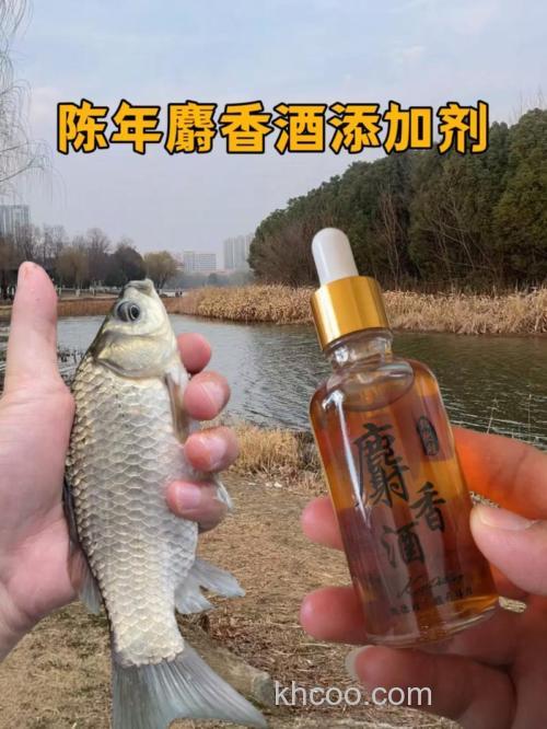 什么样子的麝香酒才是真的？