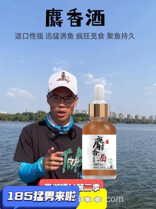 冬天钓鲤鱼用麝香还是薯香好？