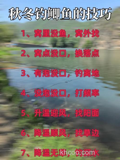 冬天黑坑钓鲫鱼求高招