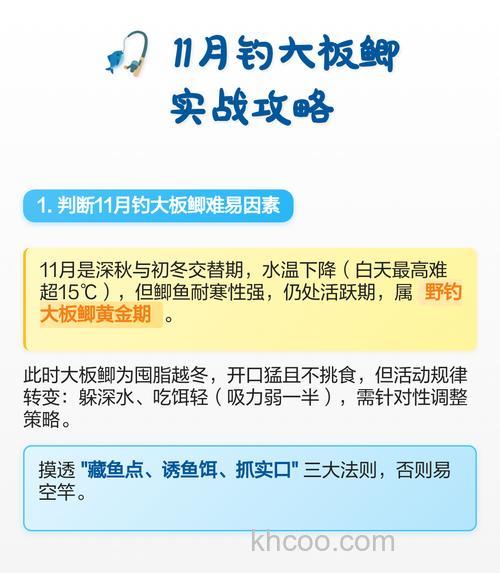 11月钓鱼有什么技术