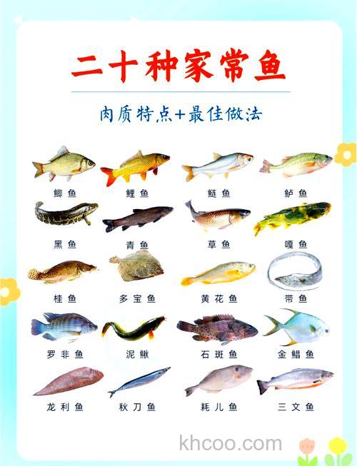 草鱼吃什么食物？附饵料选用