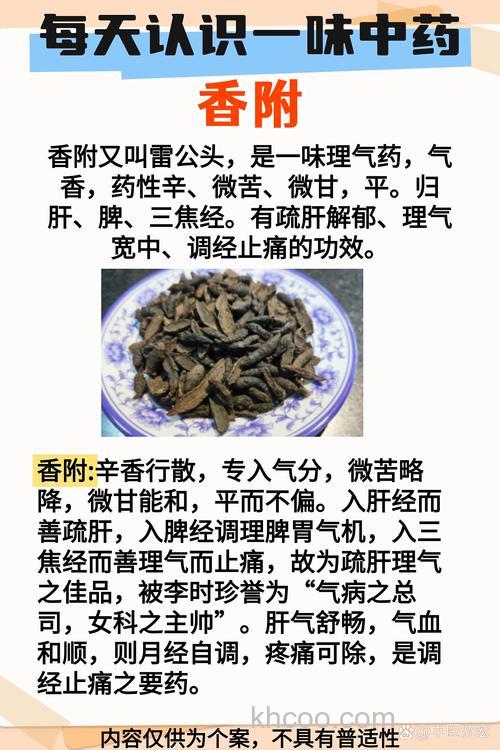 你认为还应加哪一味中药？