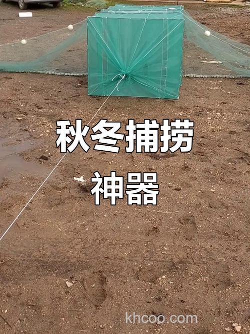 迷魂网捕鱼需要放什么饵料？