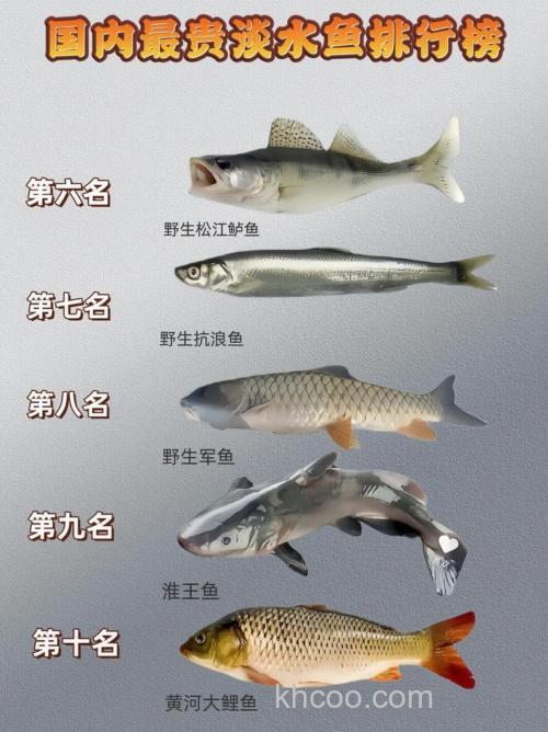 钓鱼手感最好的淡水鱼排行榜！