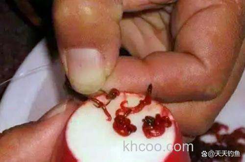 深秋钓鲫为什么商品饵没蚯蚓和红虫好用