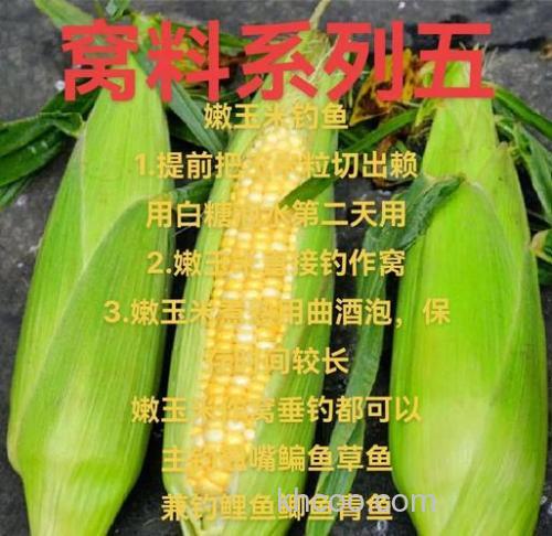 绿色玉米钓鱼配方？