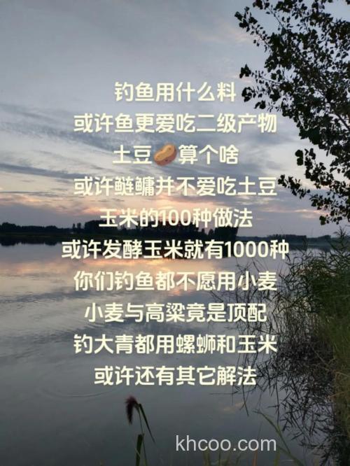 鲢鳙吃发酵玉米吗？