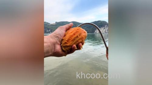 红薯一年四季都可以钓鱼吗？