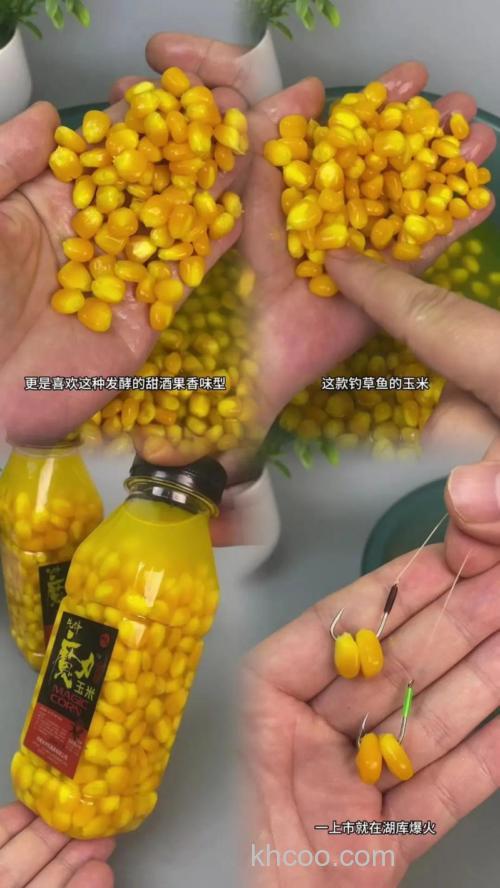 玉米打窝老三样挂饵好用吗？
