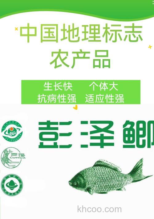 彭泽鲫用什么小药？